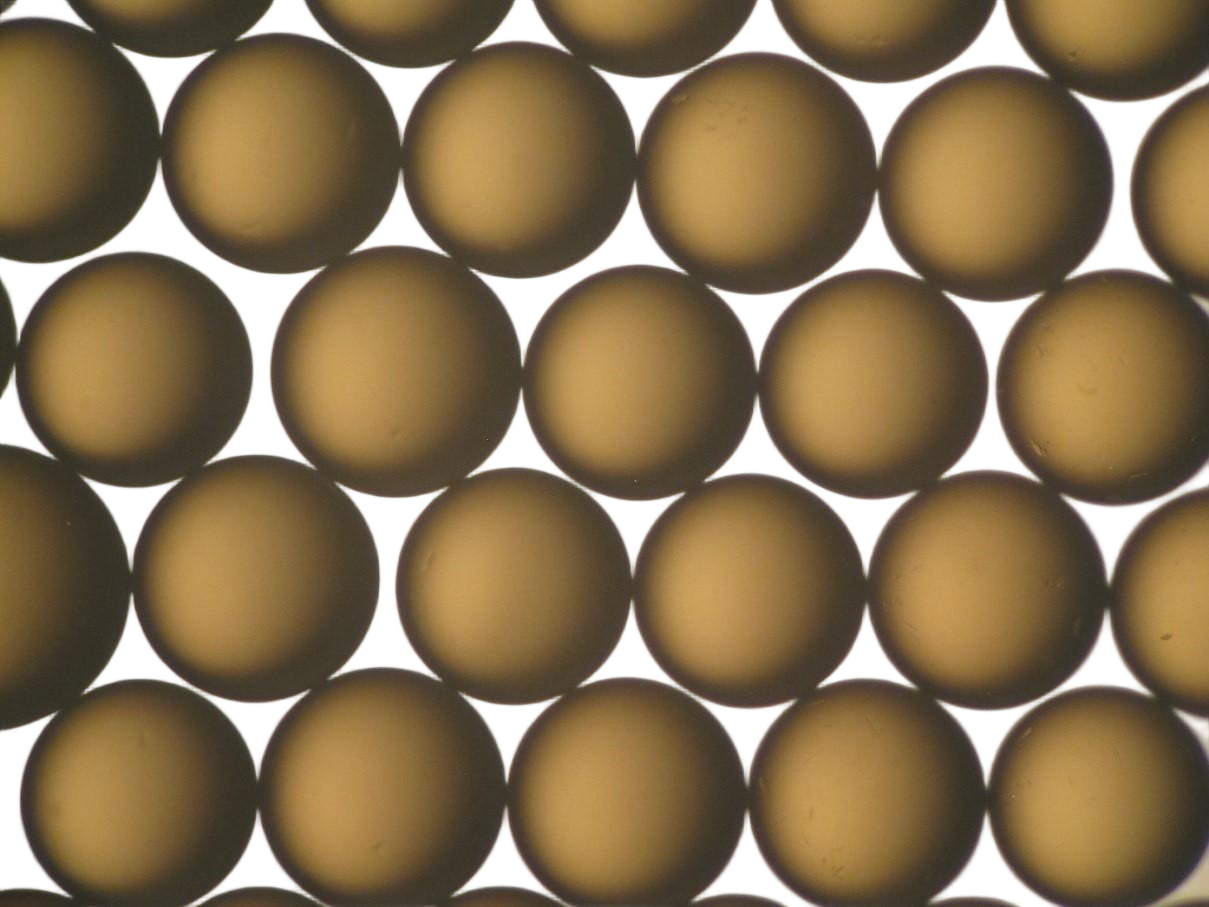 杜邦? AmberLite? HPR1200 H陽離子交換樹脂